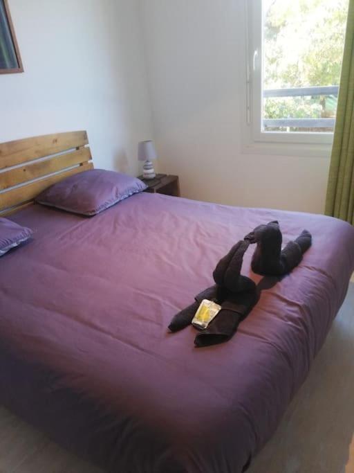 Appartement Le Nid à Aureilhan  Extérieur photo